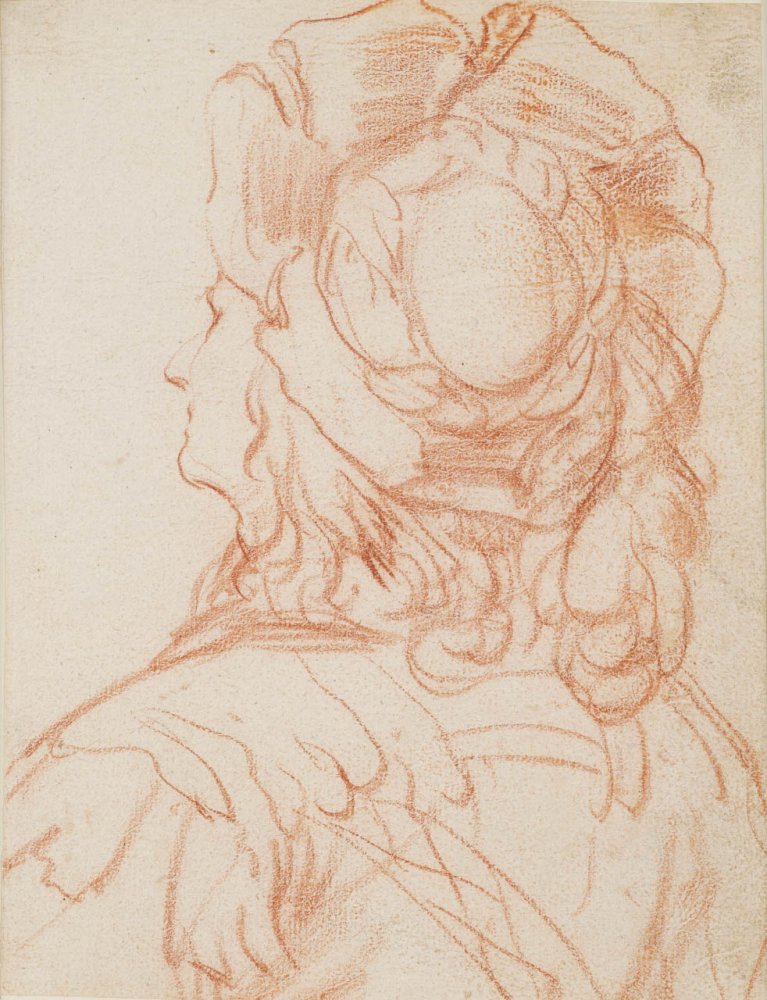 Young Man wearing a Slashed Toque seen from the Back